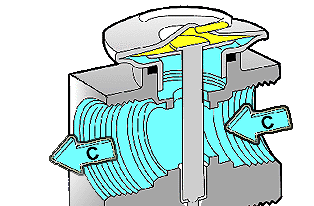 la capsule